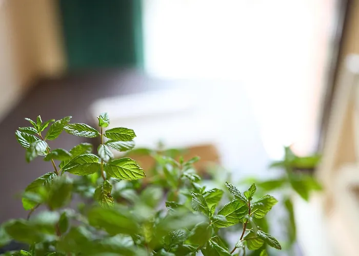 Il Casolare Punto Fiore