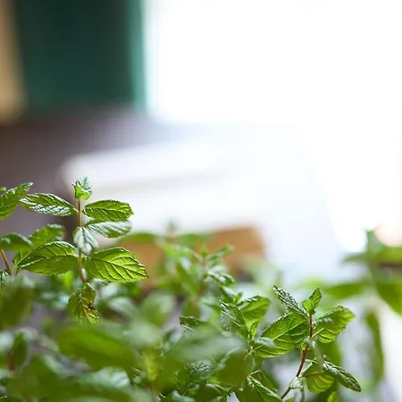 Il Casolare Punto Fiore